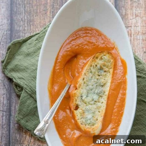 super healthy tomato soup with gorgonzola croutons (with bonus vitamix version}!