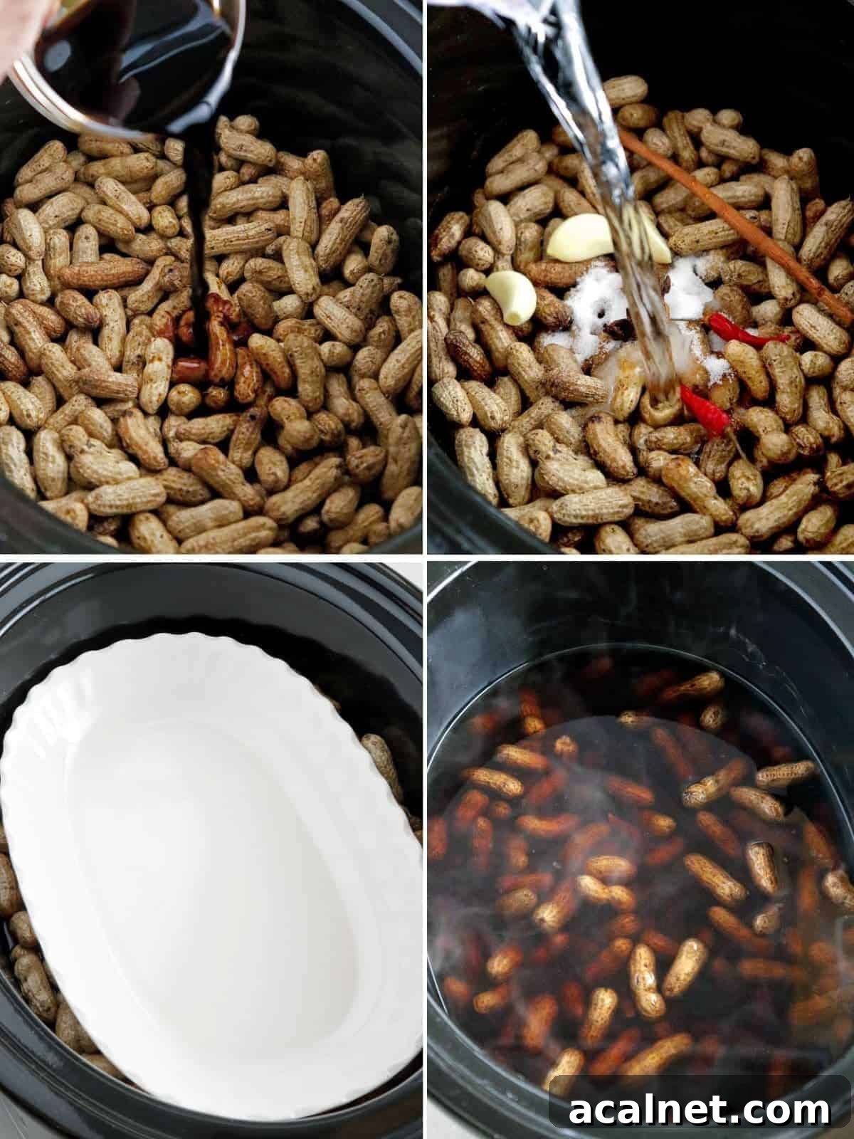 making Chinese boiled peanuts in a slow cooker