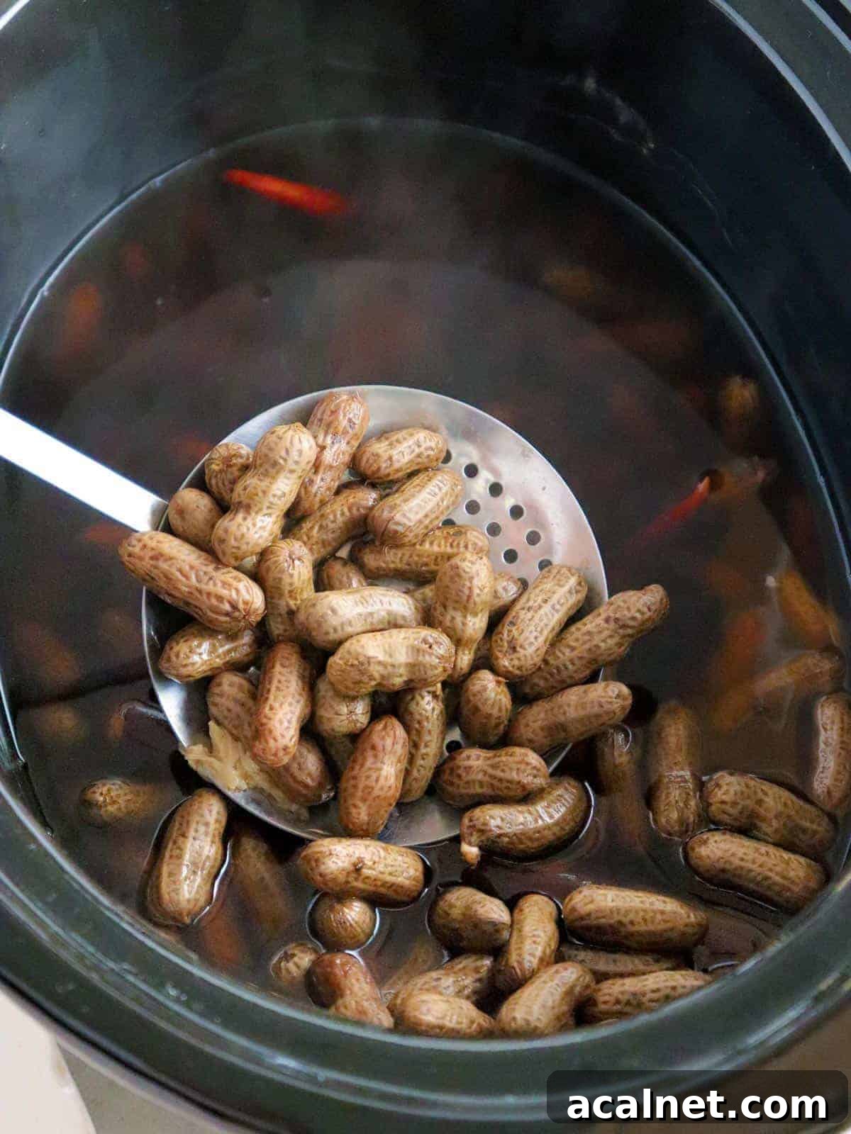 serving boiled peanuts from a slow cooker with a strainer