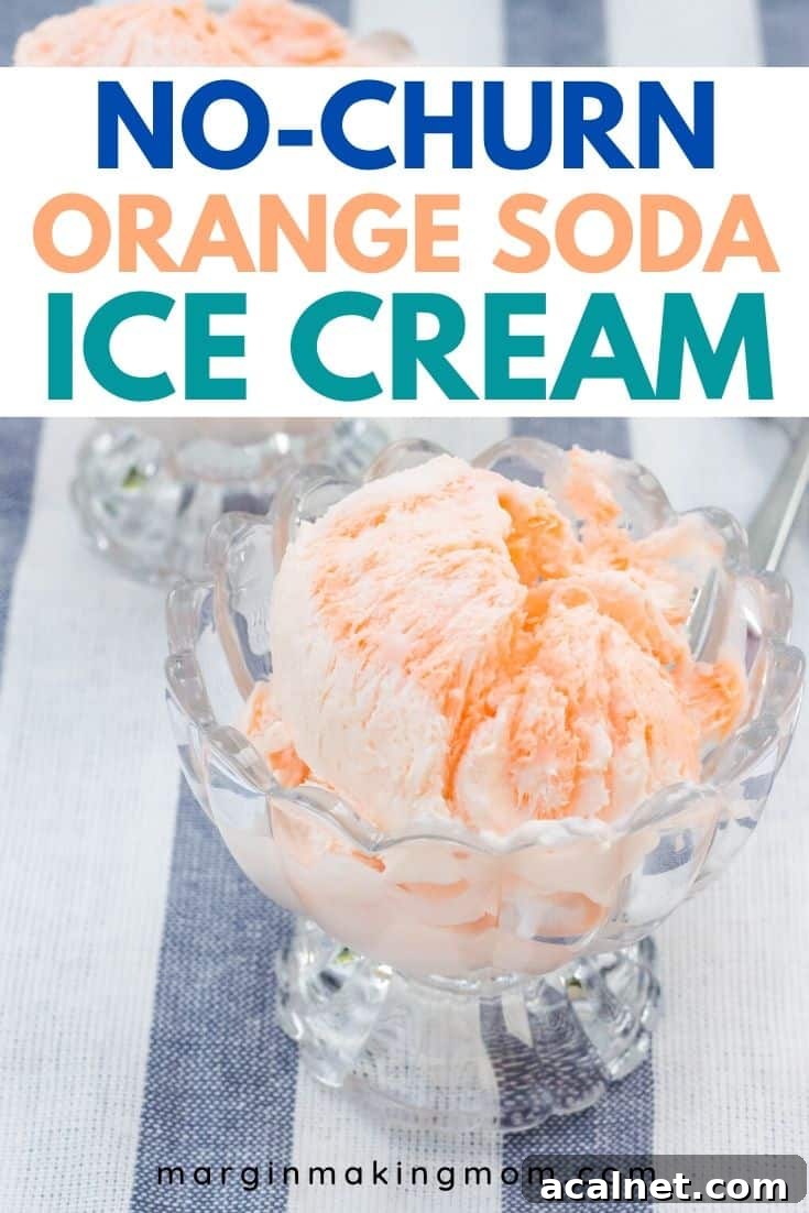 No-Churn Orange Creamsicle Ice Cream Recipe — Creamy Citrus Treat 2 dessert cups filled with orange soda ice cream