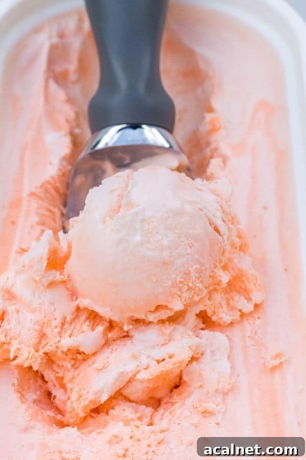 No-Churn Orange Creamsicle Ice Cream Recipe — Creamy Citrus Treat 3 an ice cream scoop while scooping out a serving of orange creamsicle ice cream