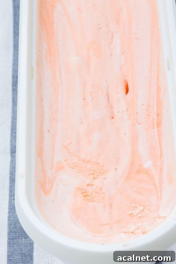 No-Churn Orange Creamsicle Ice Cream Recipe — Creamy Citrus Treat 4 a full serving container of homeamde orange creamsicle ice cream