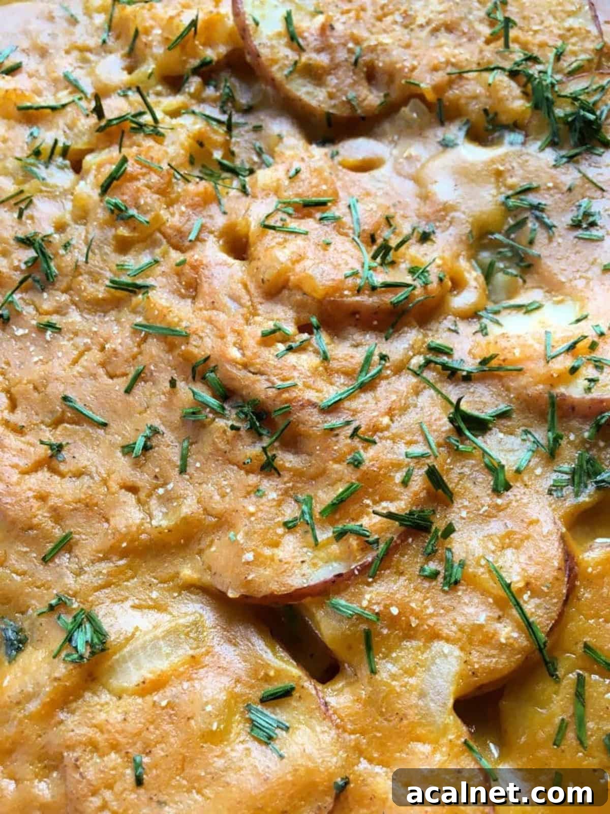 The scalloped potato recipe is garnished with parsley. 