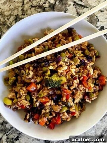 vegan vegetable fried rice