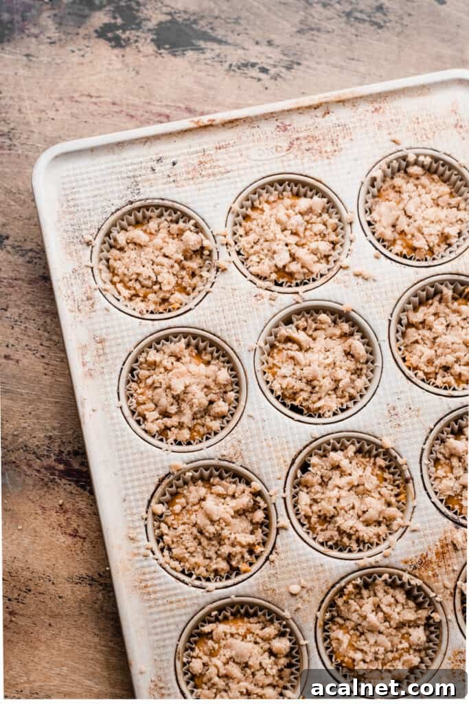 Muffin batter topped with streusel in the pan.
