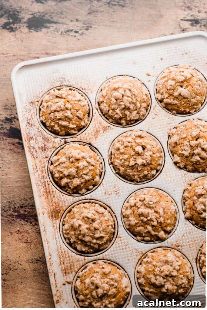 Baked muffins in the muffin pan.