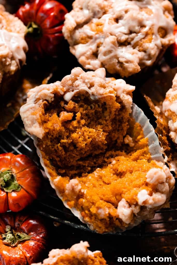 A close-up on a fluffy pumpkin spice muffin broken in half