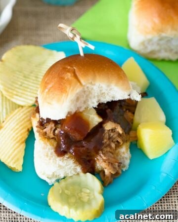 A pineapple pulled pork slider with chips and pineapple chunks on a plate.