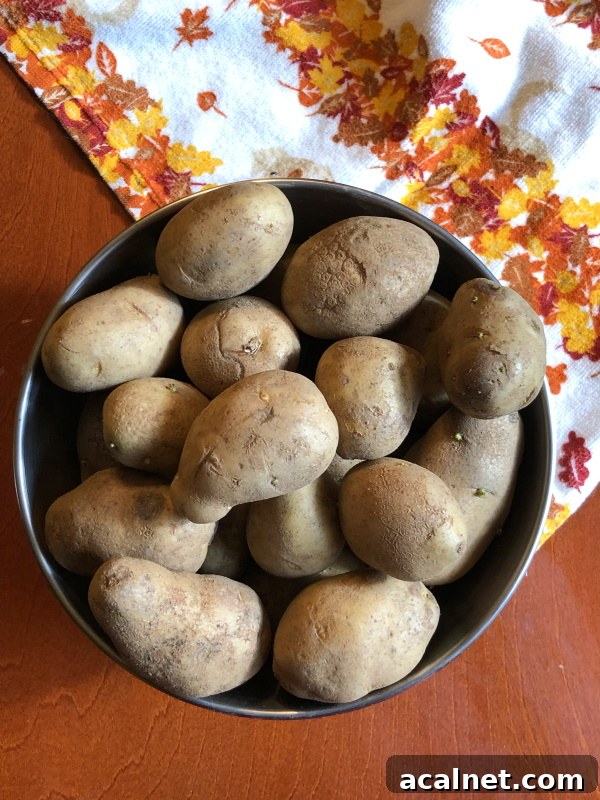 Potatoes