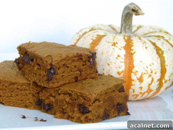 whole grain pumpkin chocolate chip bars | pamela salzman
