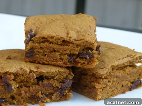 whole grain pumpkin chocolate chip bars | pamela salzman