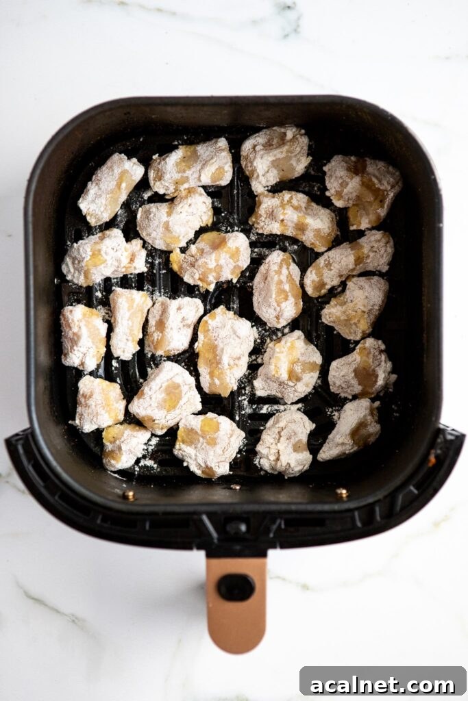 Crispy Air Fryer Sesame Chicken Bites — 62g Protein Per Serving 4 Breaded sesame chicken bites in single layer in air fryer basket before cooking at 400°F