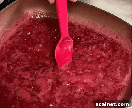 45-Minute Homemade Gluten-Free Pop-Tarts Recipe 2 gluten free poop tart raspberry filling in a pan with a red spoon