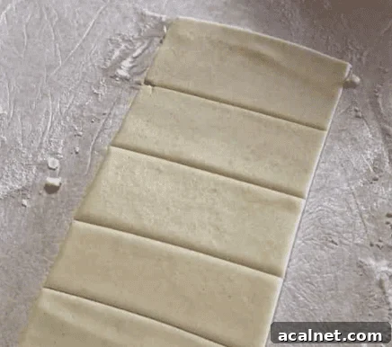45-Minute Homemade Gluten-Free Pop-Tarts Recipe 4 gluten free pop tart dough in rectangle cuts raw