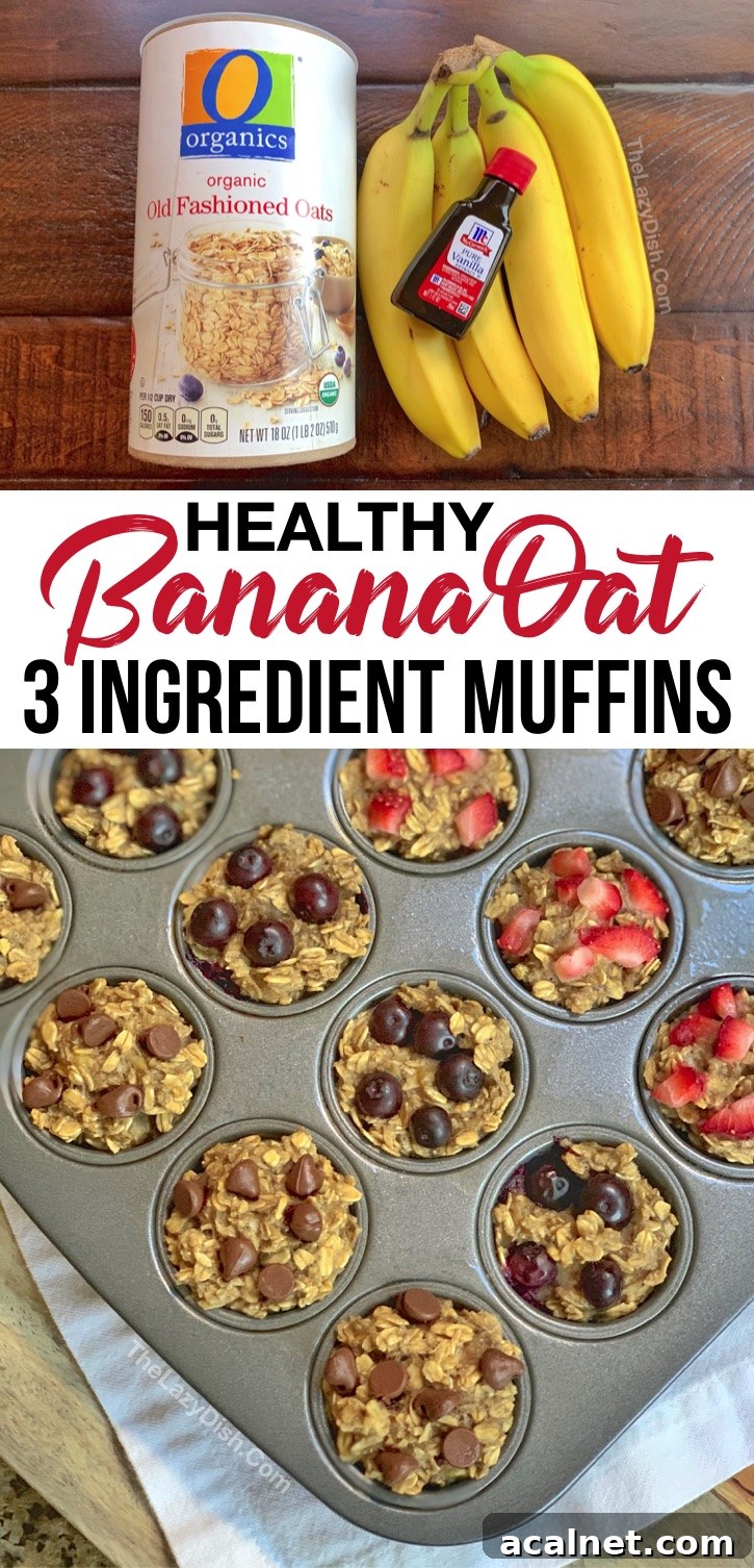Looking for quick, easy and healthy snack ideas for kids? These simple muffins are made with just a few ingredients including bananas, oats and vanilla extract (plus the mix-ins of your choice like chocolate chips or berries). These clean eating muffins are perfect for breakfast and on the go snacks. Kids love them in their lunchbox, too! Perfect for kids of all ages including toddlers and older kids. Vegan, No flour, no eggs, and no fuss! Just healthy ingredients. #healthysnacks #cleaneating #kids