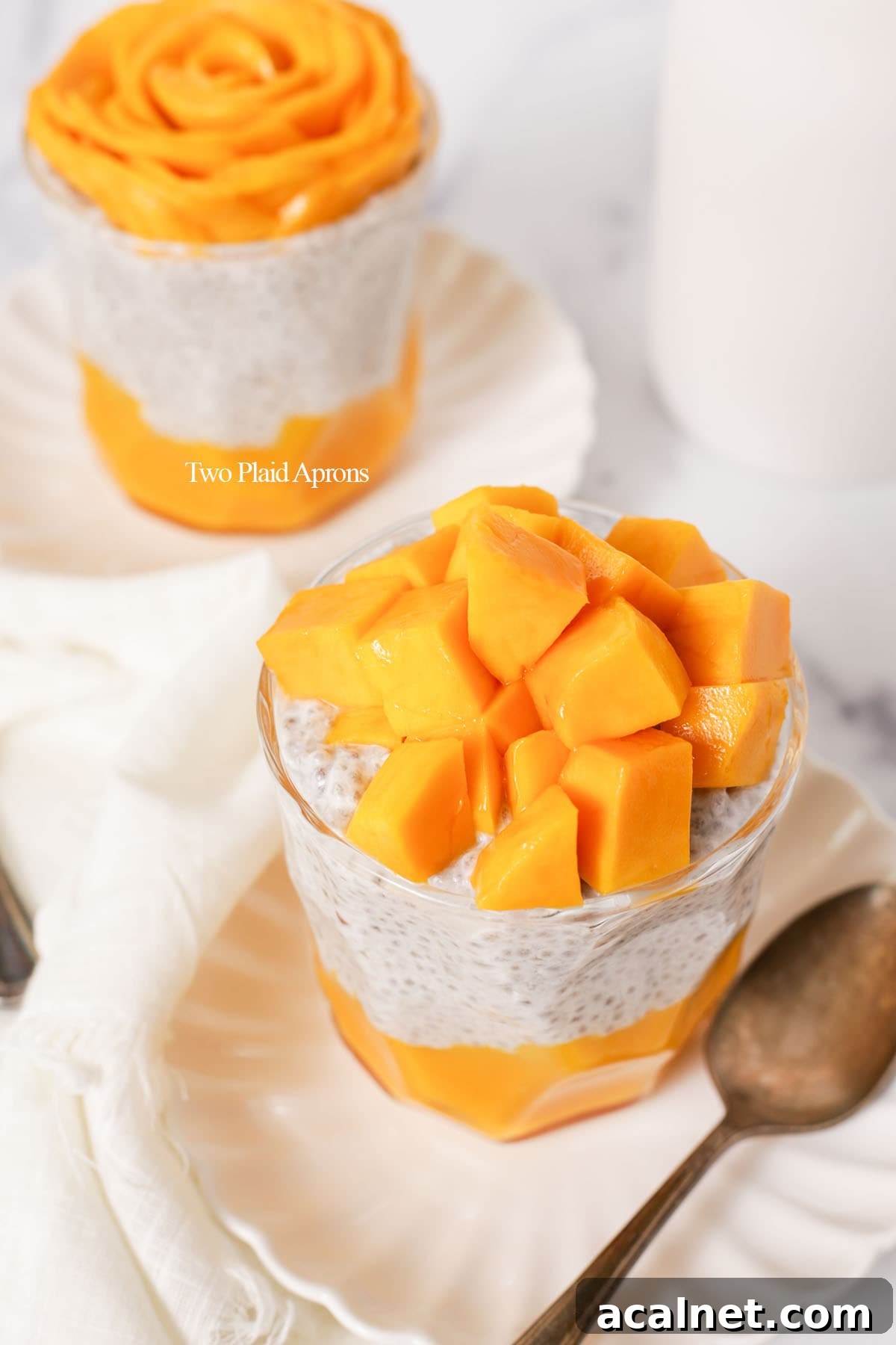 Top down of mango chia seed pudding.