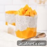 Mango chia seed pudding thumbnail shot.