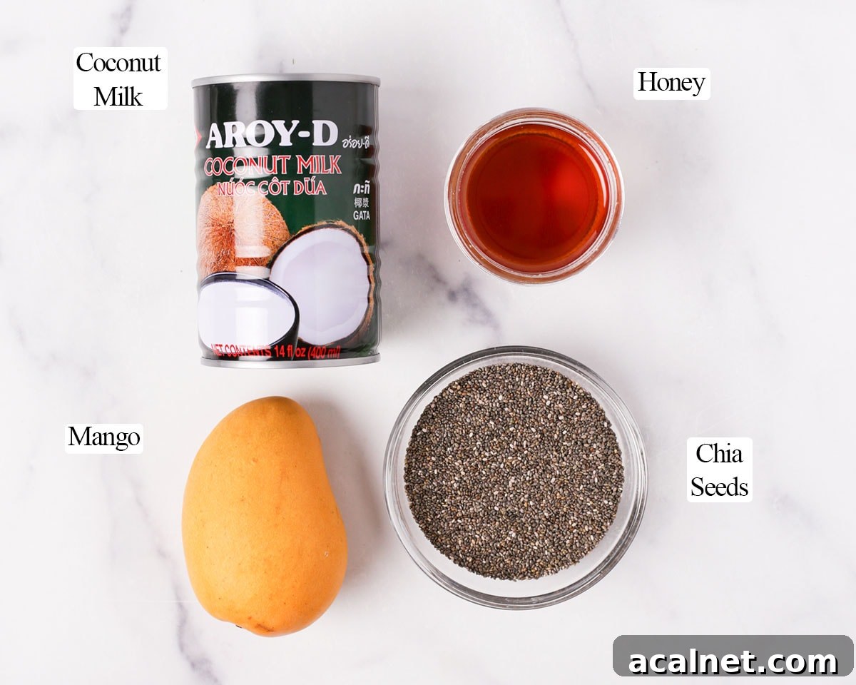 Ingredients for mango chia seed pudding.