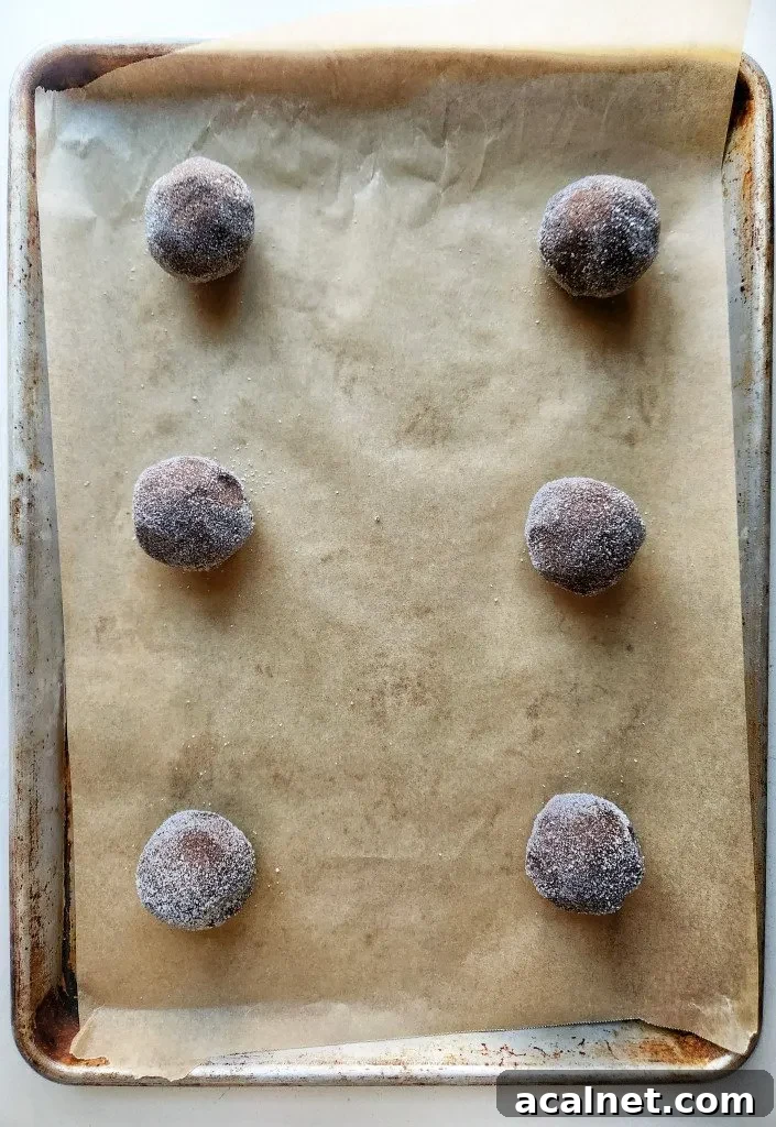 cookies ready for the oven