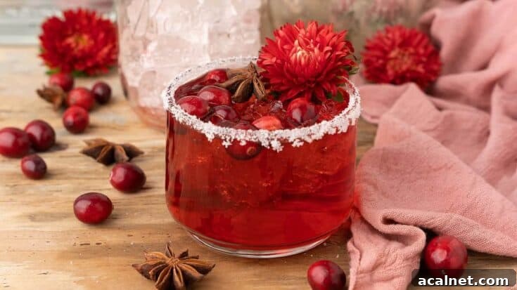 A cranberry margarita with a salted rim, garnished with fresh cranberries.