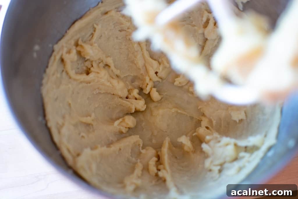 Dough in the metal bowl of a stand mixer