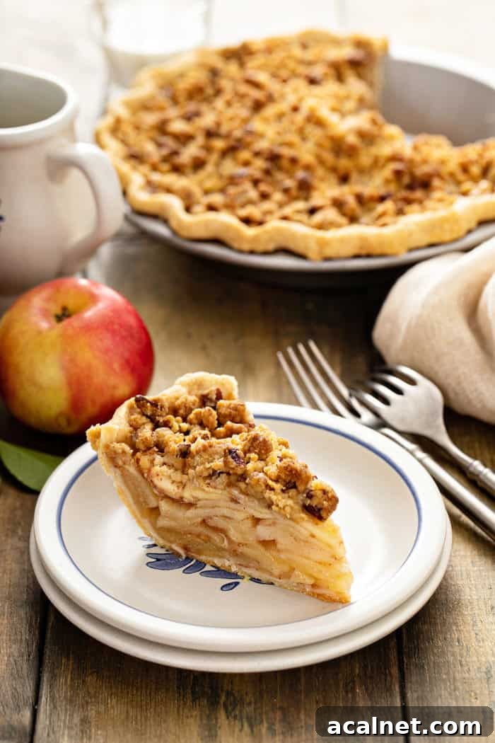 Homemade Apple Crumb Pie with Cinnamon Streusel 2 Slice of apple crumb pie on a plate with ice cream