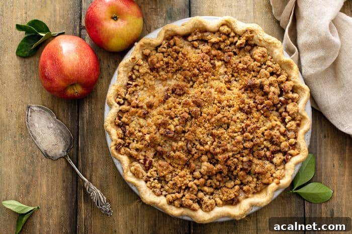 Homemade Apple Crumb Pie with Cinnamon Streusel 8 Baked apple crumb pie served with ice cream