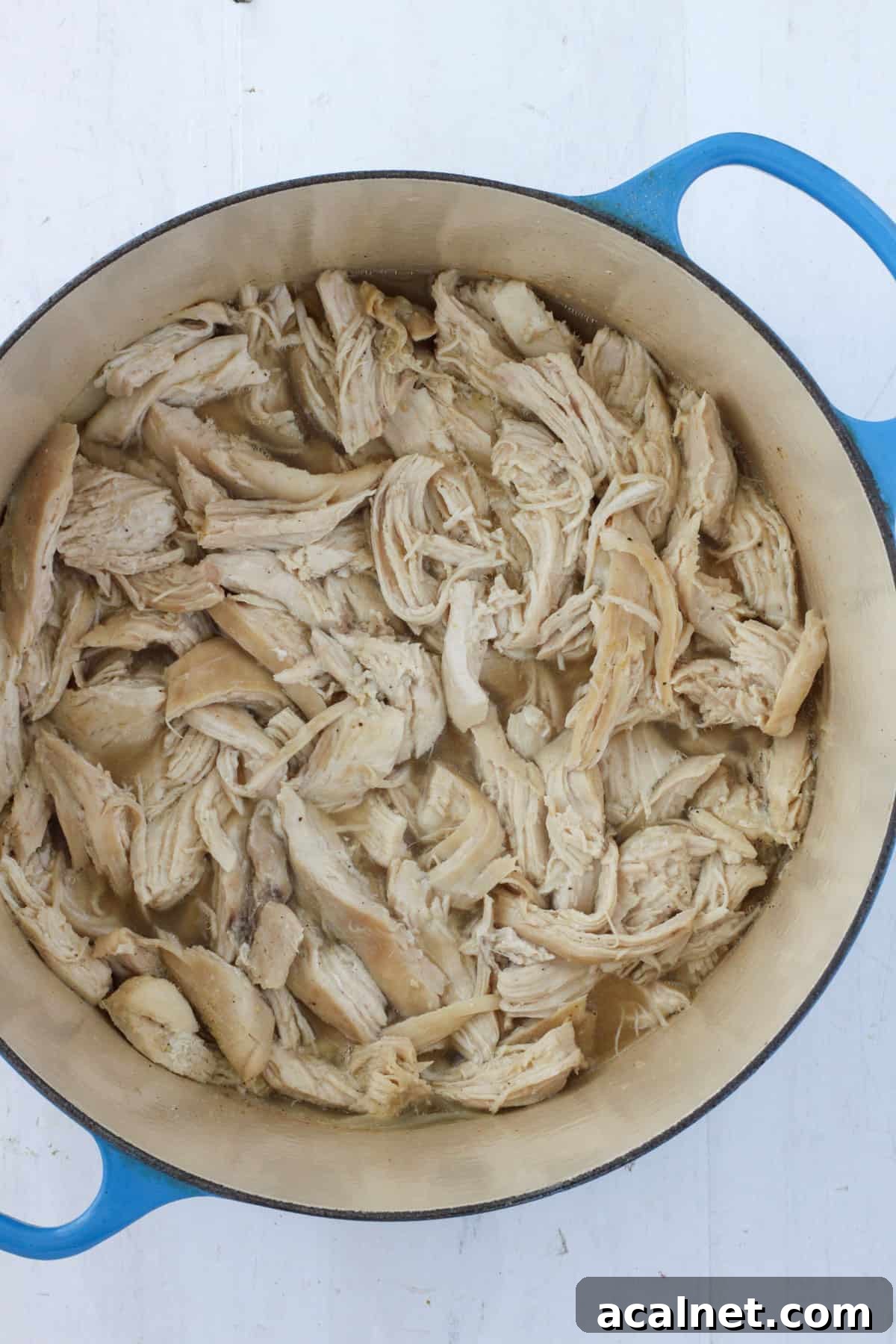 Pulled chicken in a large Dutch oven.