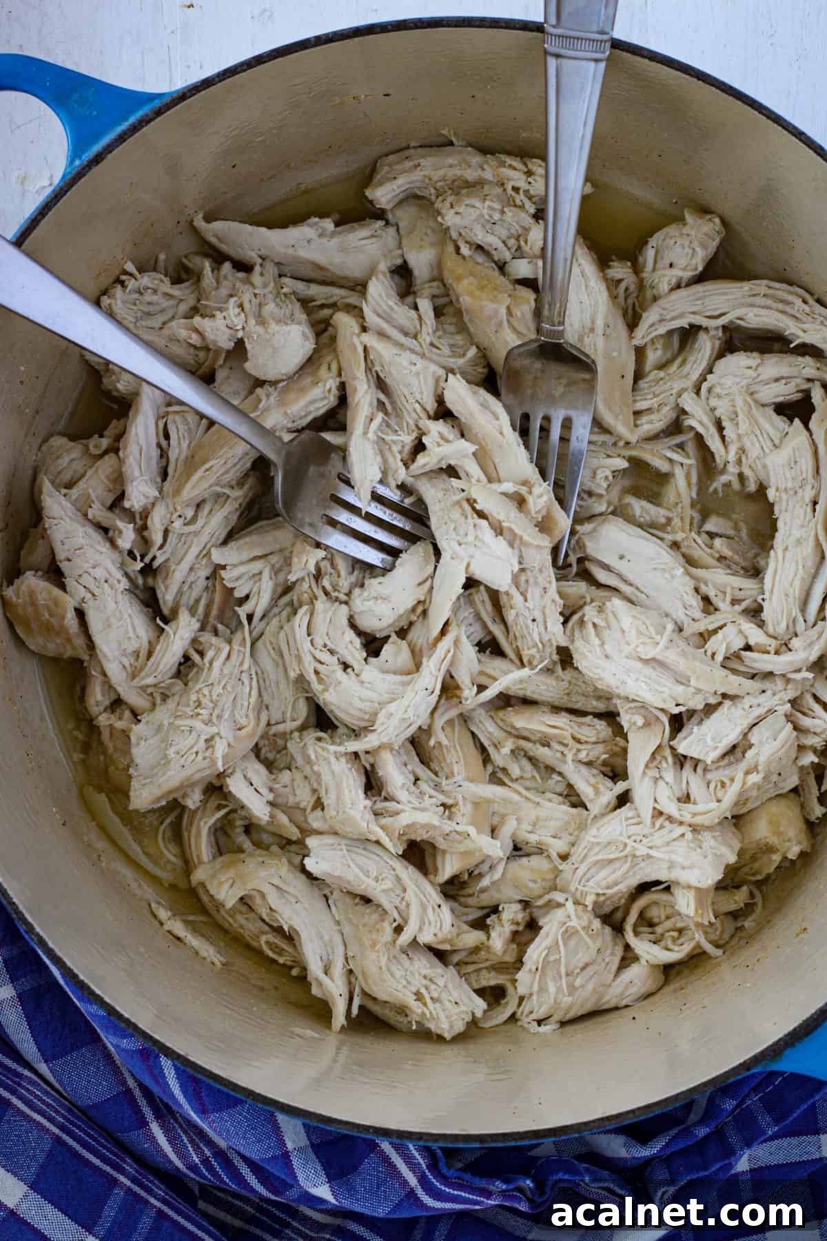 Pulled chicken in a Dutch oven with two forks pulling apart chicken.