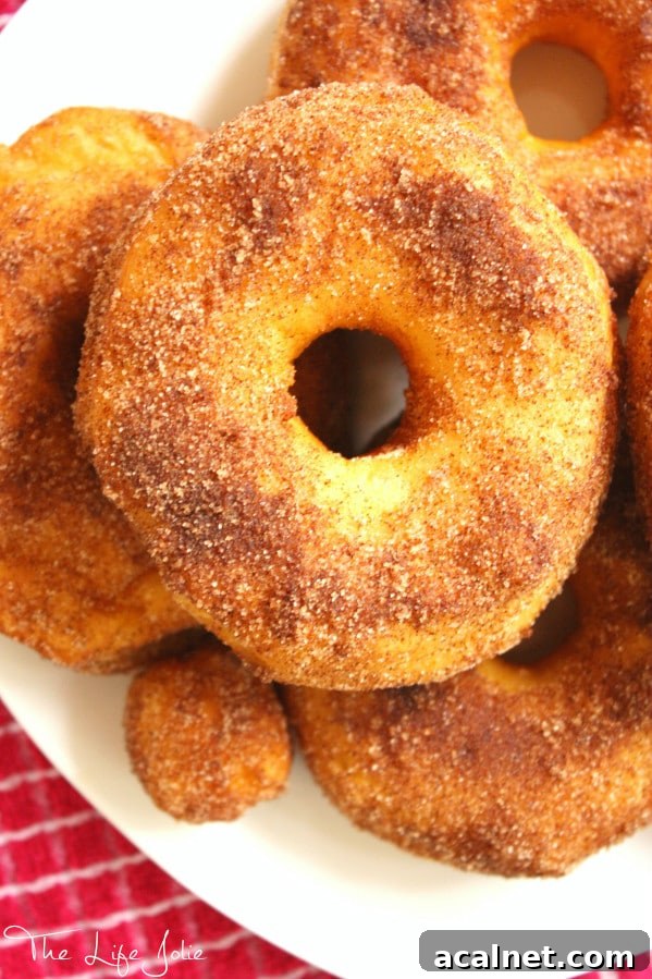 These Super Easy Fried Donuts are so delicious- I couldn't believe how quickly they were done. My family loved them! Click on the photo to read more...
