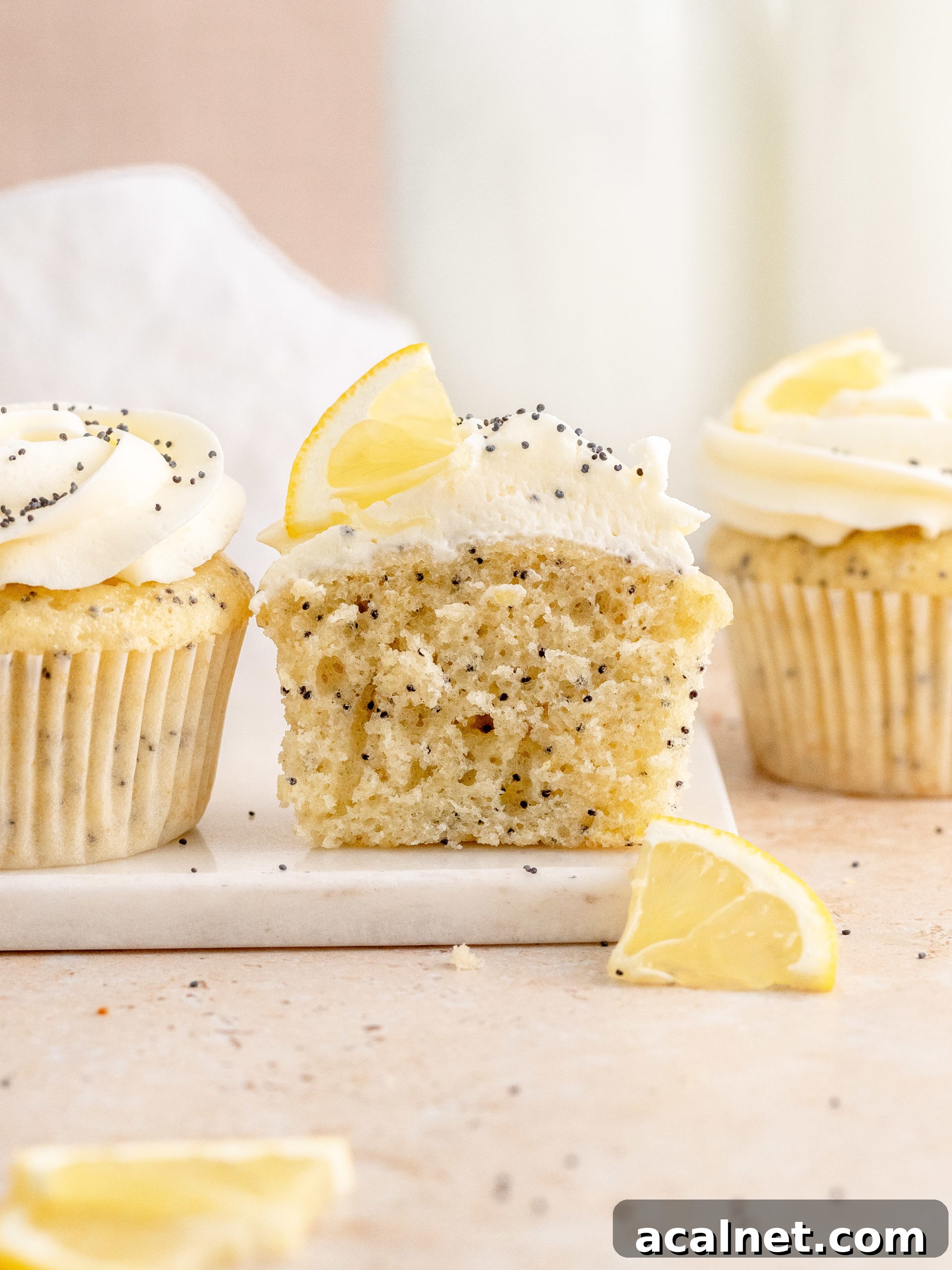 Lemon Poppy Seed Cupcakes Lemon Poppy Seed Cupcakes