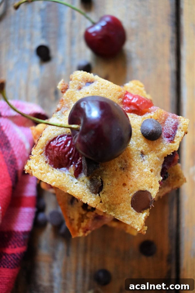 overhead view of a cherry chocolate chip blondie