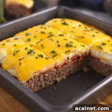 A metal pan with meatloaf casserole.