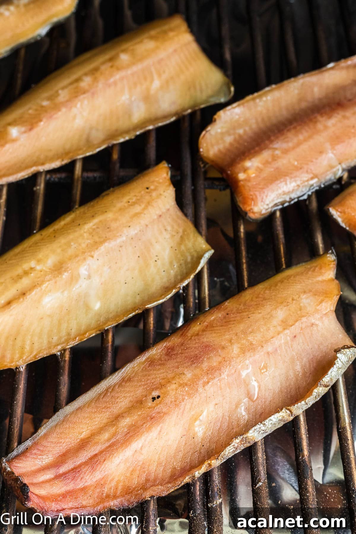 Smoked salmon fillets on a white platter with lemon slices and fresh herbs.