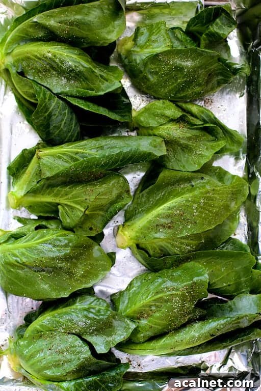 Photo of cabbage sprouts on baking sheet before being roasted.