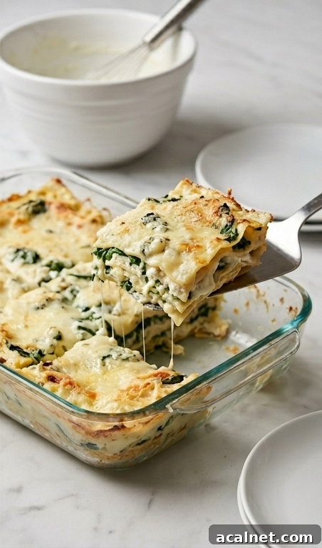 Slice of white lasagna on plate