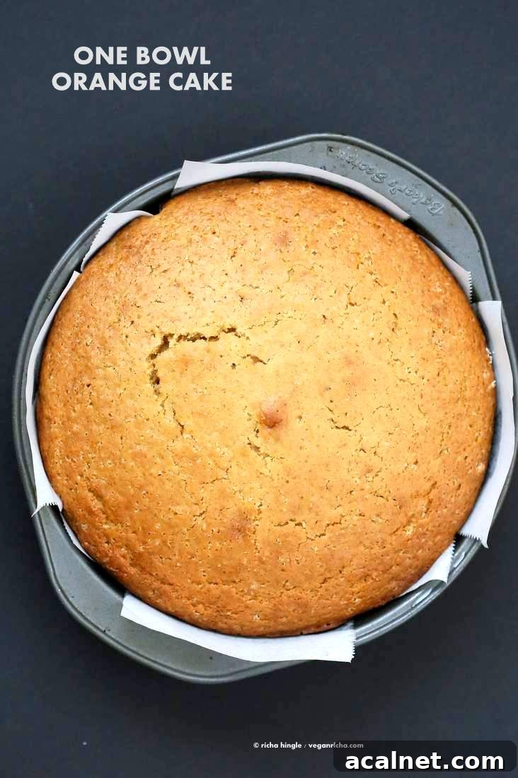 Vegan Orange Cake made in 1 Bowl and just 8 ingredients! Easy Moist Citrusy Vegan Cake.| VeganRicha.com