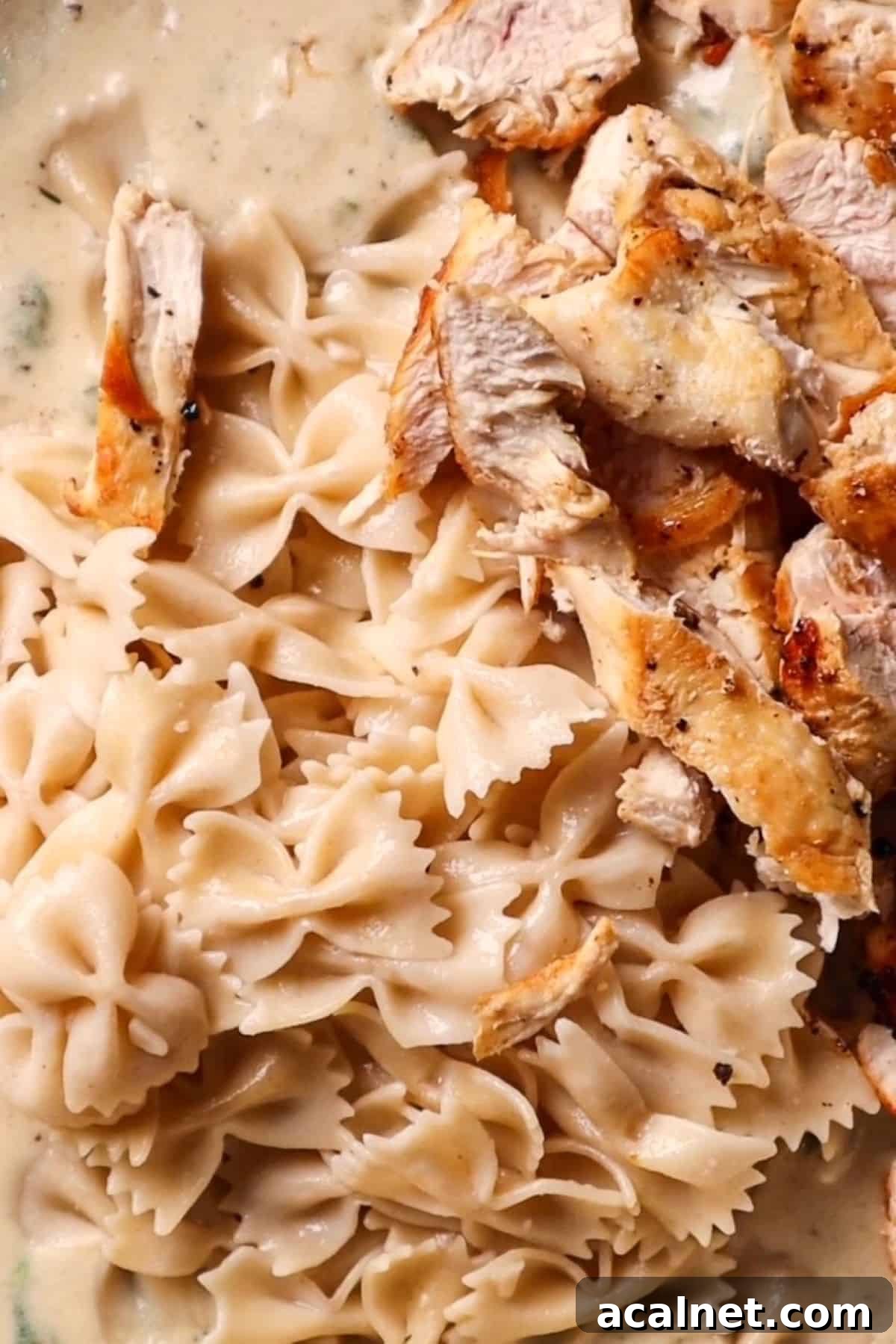 garlic parmesan pasta sauce with pasta and chicken