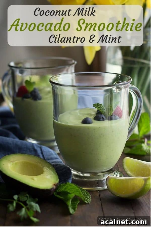 Keto Avocado Smoothie with Cilantro and Mint 2 img 12815 1