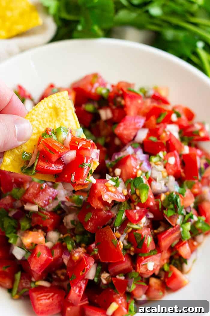 How to make Homemade Pico de Gallo -a simple and fresh salsa. Make this as chunky or smooth as you like and as spicy or mild as you like.