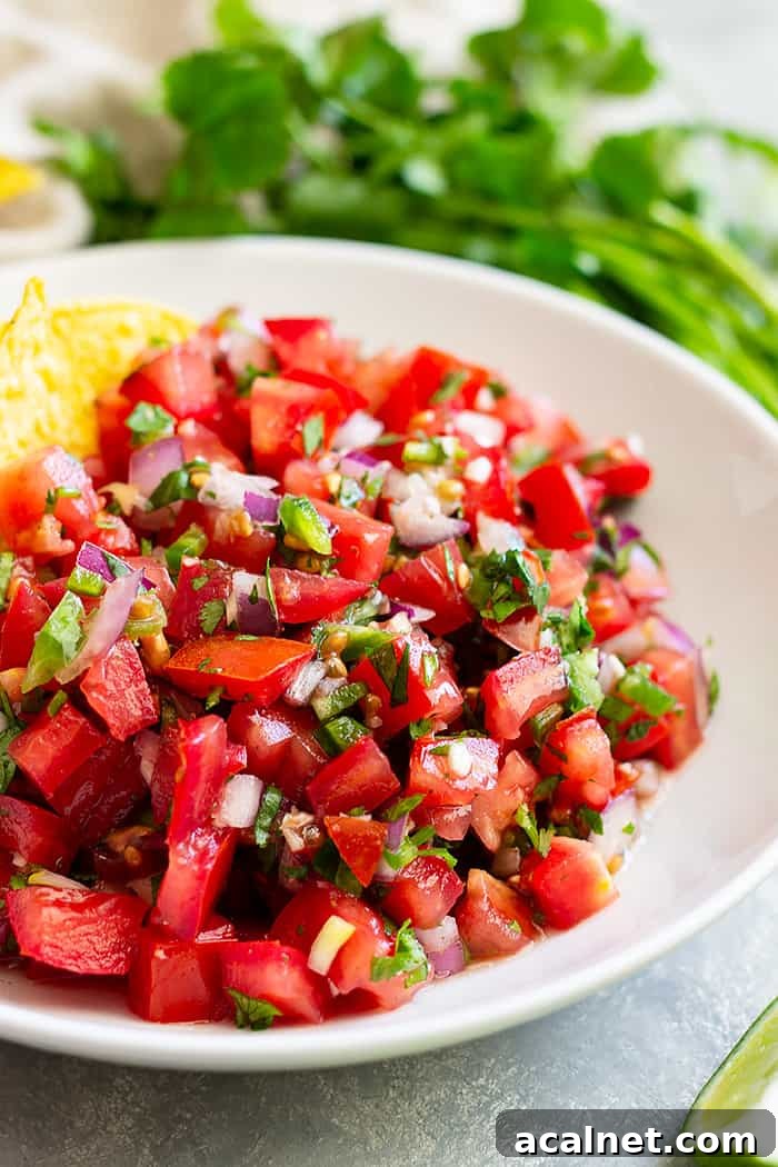 How to make Homemade Pico de Gallo -a simple and fresh salsa. Make this as chunky or smooth as you like and as spicy or mild as you like.