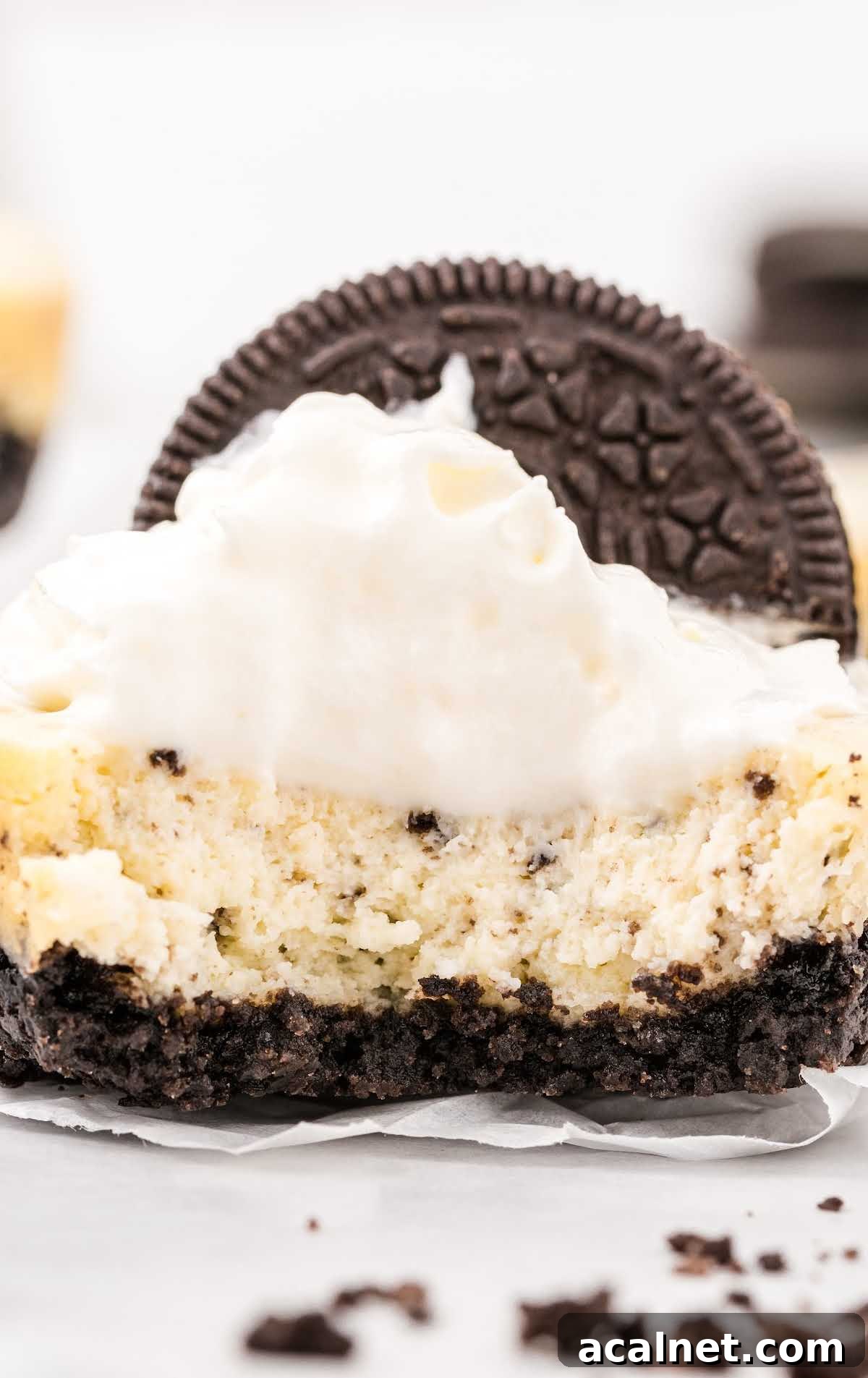 Cookies and Cream Cheesecake with Oreo Crust 11 cookies and cream cheesecakes with a Oreo cookie on top with a piece taken out of it