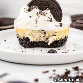 Cookies and Cream Cheesecake with Oreo Crust 14 cookies and cream cheesecakes with a Oreo cookie on top on a plate with a piece taken out of it