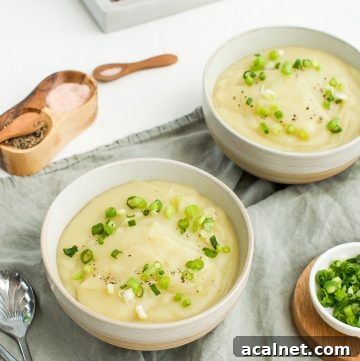 two bowls of soup, sitting on a grey towel, with some spoons on the side, salt and pepper and a small bowl of chopped spring onion.
