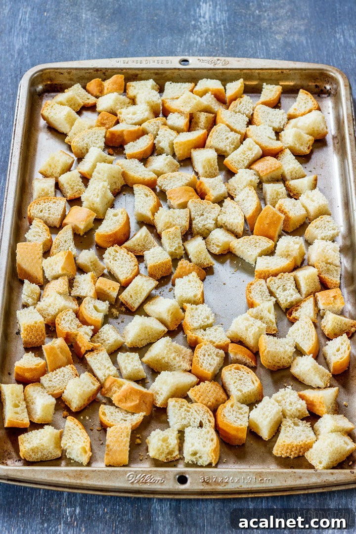 Diced dry bread on baking tray