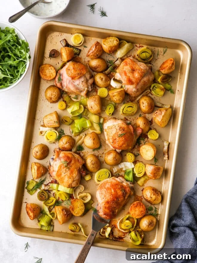 one-pan roasted chicken and potatoes with bowl of arugula and yogurt dill sauce