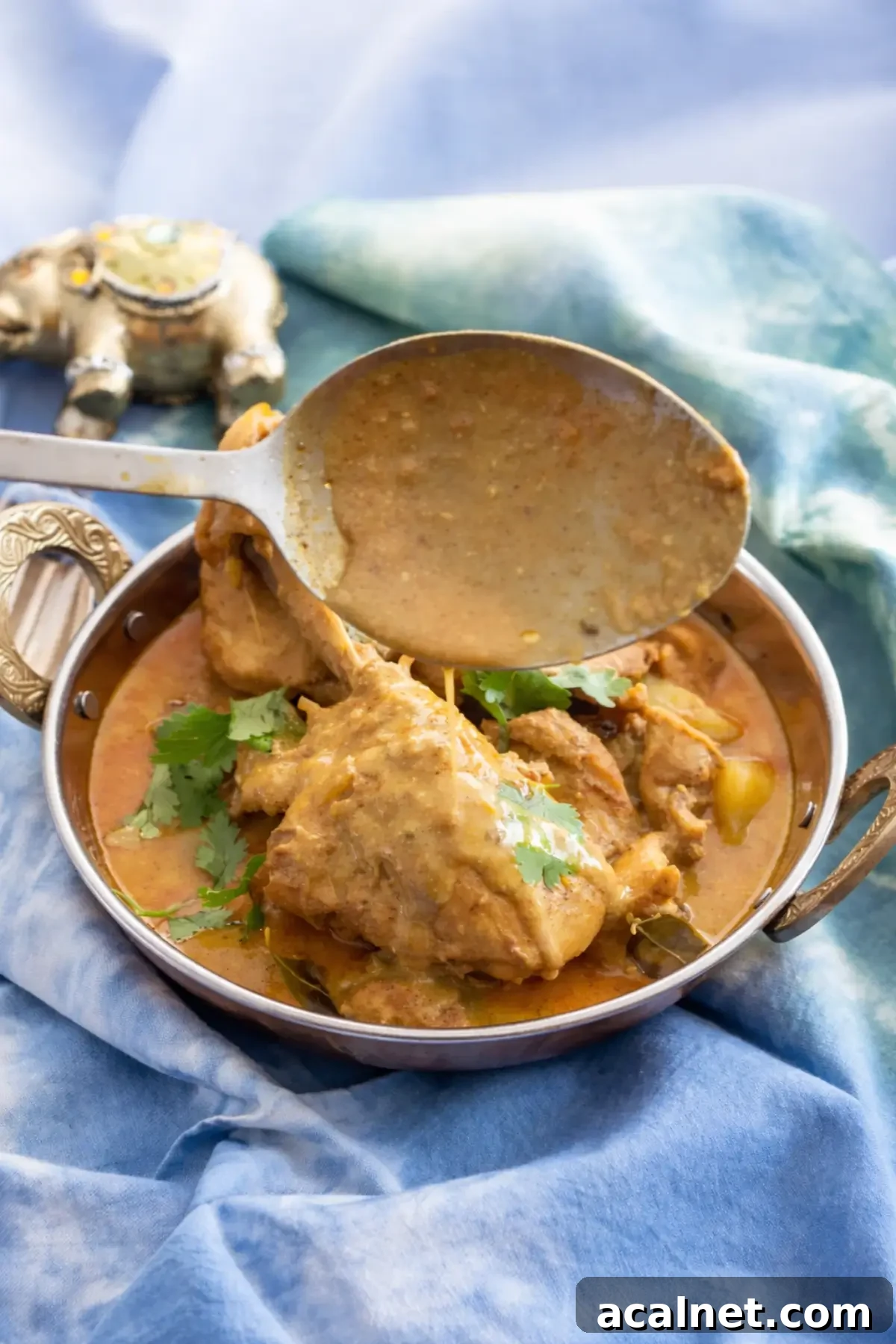 Low FODMAP Chicken Curry for Sensitive Stomachs 3 Spoon lifting creamy curry sauce over chicken.