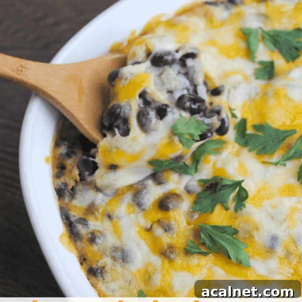 spoon with cheesy baked black beans and rice