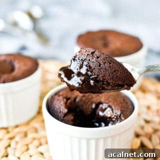 Close up of a spoonful of gooey baked chocolate pudding