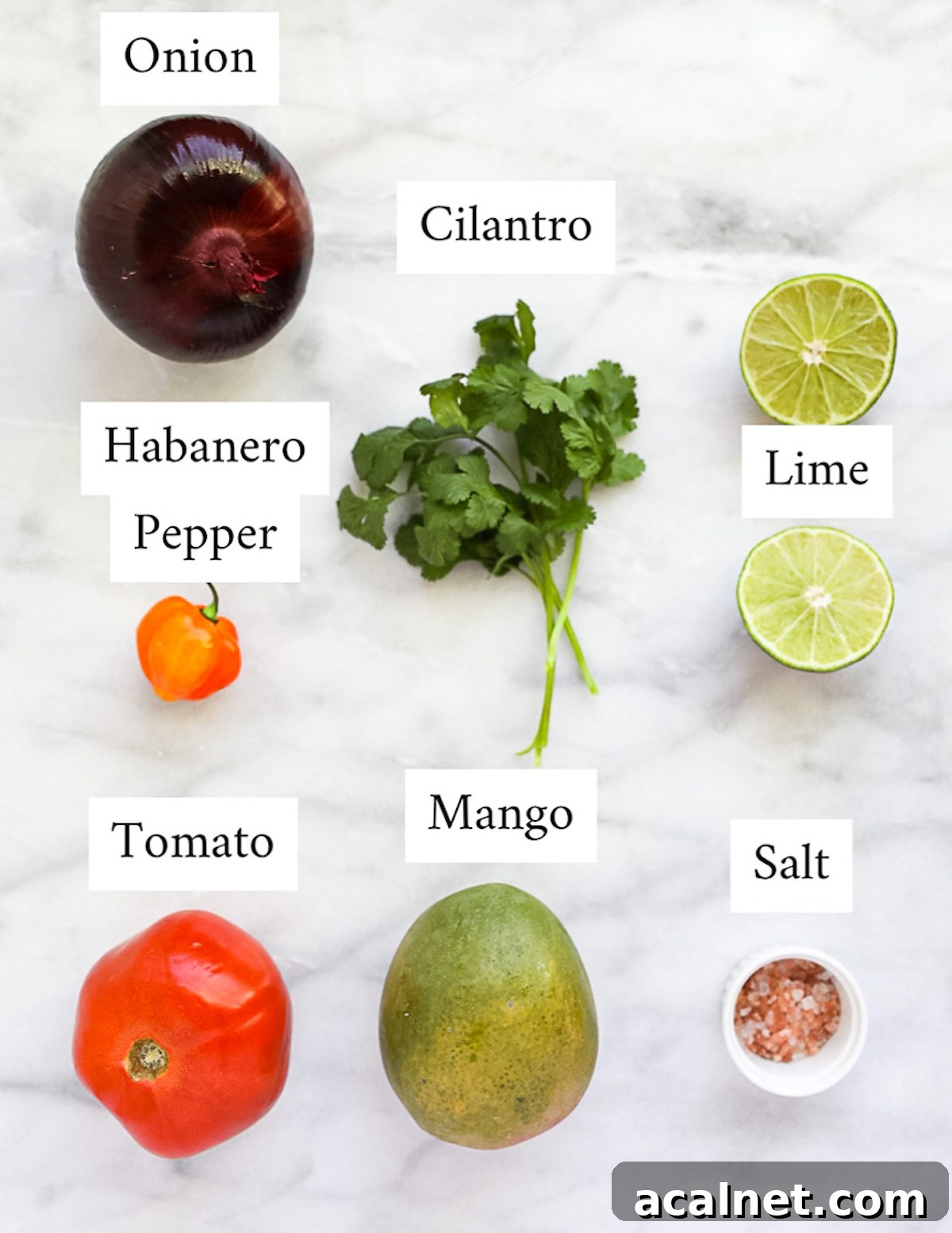 Labeled ingredients including: onion, cilantro, lime, habanero pepper, tomato, mango, and salt.